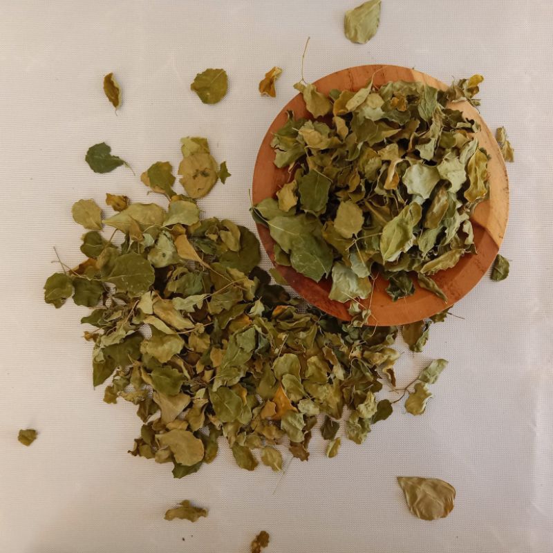 

Kelor daun kering hijau premium