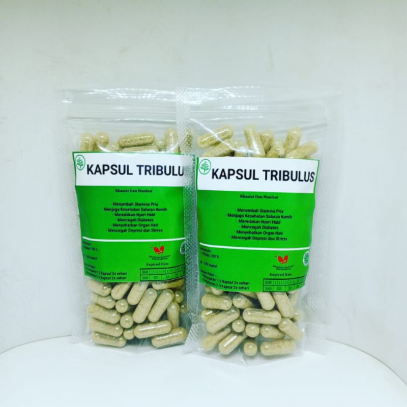kapsul tribulus isi 100 kapsul