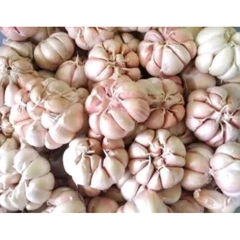

Bawang Putih Bersih 100 gram