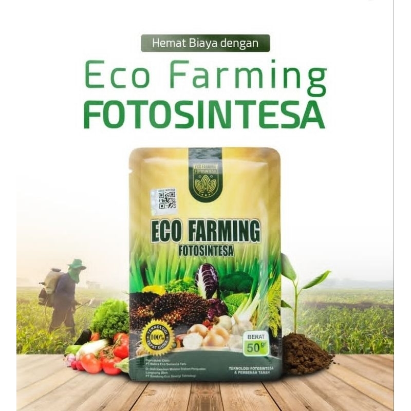 ECO FARMING FOTOSINTESA