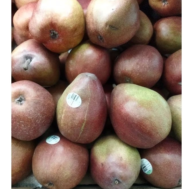 

BUAH IMPORT PEAR RED ANAJU 1kg