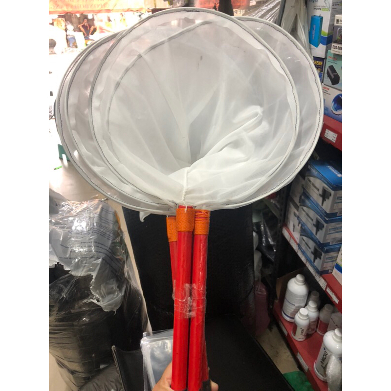 Serokan KUTIR Serokan Kutu Air