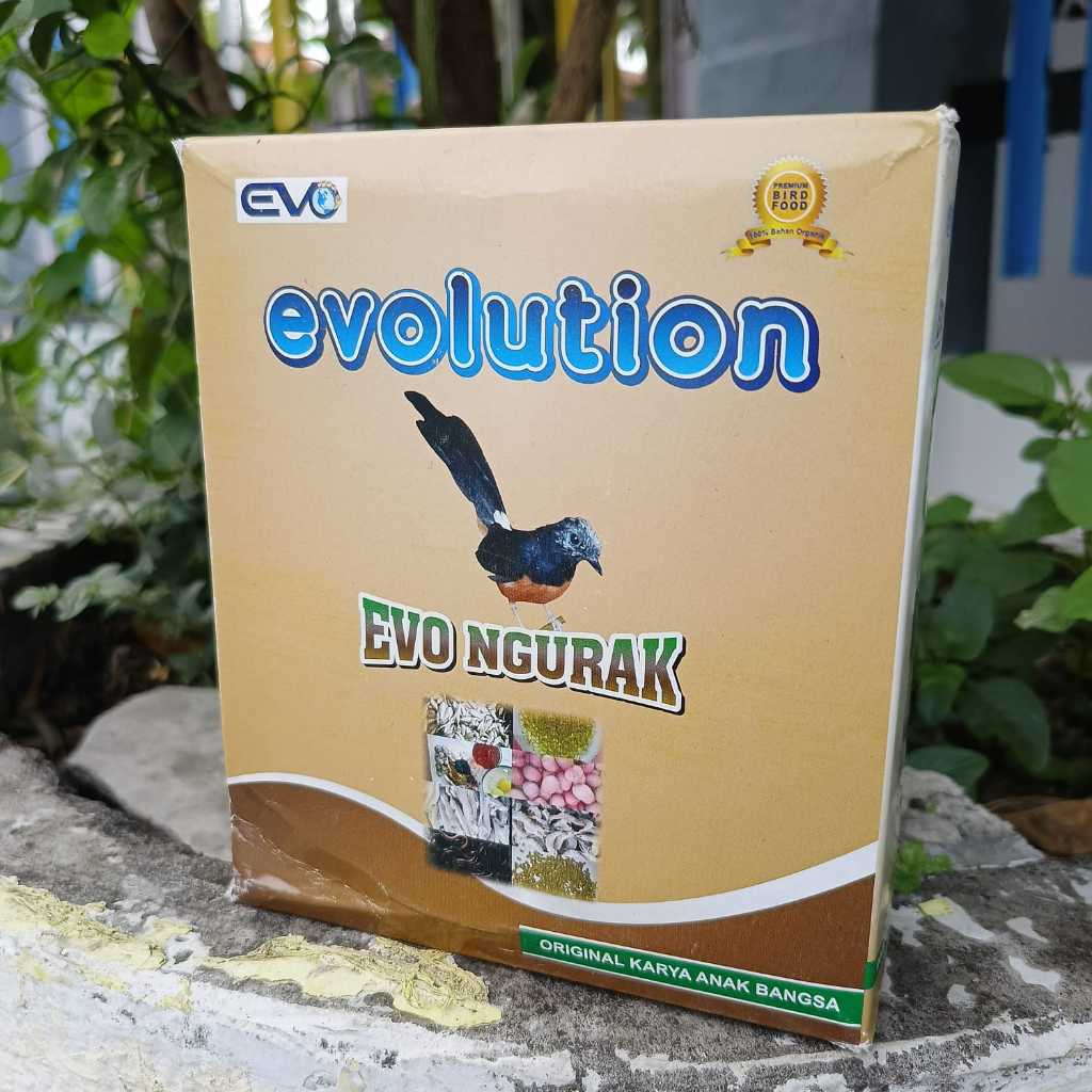 VOER EVOLUTION EVO NGURAK Voer pakan burung murai batu mabung ngurak mempercepat proses ngurak