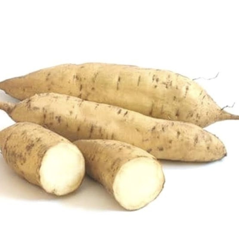 

ubi putih mentah berkualitas 1kg fresh