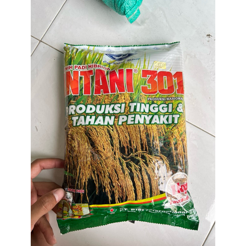 Benih Padi Hibrida Intani 301 1kg exp bulan juni 2025