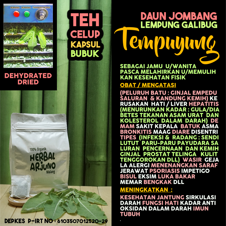 

Dehydrated Dried Teh Celup Kapsul Bubuk Daun Tempuyung Jombang Obat Batu Ginjal Empedu Kemih Hepatitis Asam Urat Asma Bronkitis Radang Infeksi Payudara Pneumonia Prostat Telinga Wasir Maag Hipertensi Tipes Alergi Jamu Pasca Melahirkan Herbal Alami