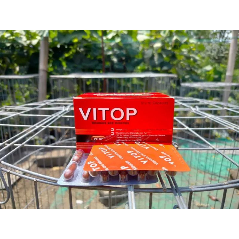 Vitop Obat Ayam Vitamin Ayam Aduan Pendongkrak Ecer 1 kapsul
