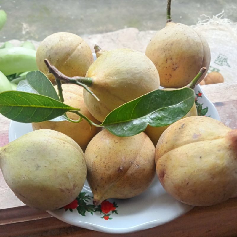 

1000gr buah pala segar