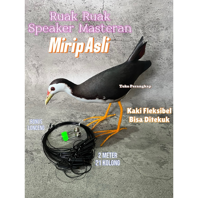 Jebakan Perangkap Burung Ruak Ruak Kareo Padi