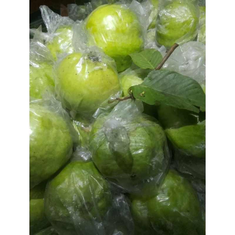 

jambu kristal 1kg