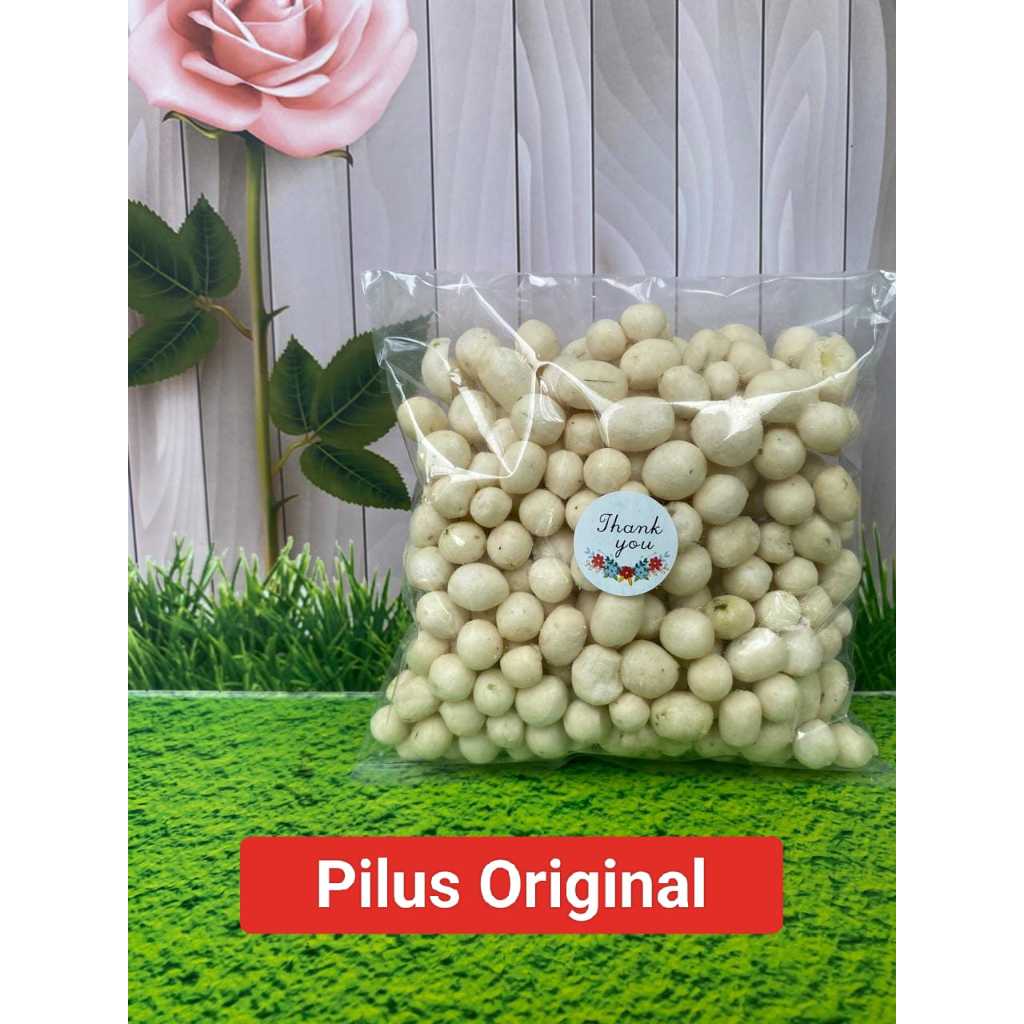 

Snack Pilus asin harga 5k 100gram