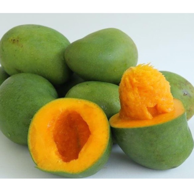 

MANGGA ALPUKAT B
