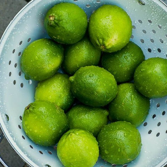 

Jual Jeruk Nipis Peras 1 Kg Fresh Petik