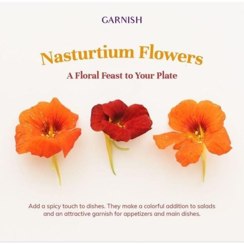 

Nasturtium Flowers