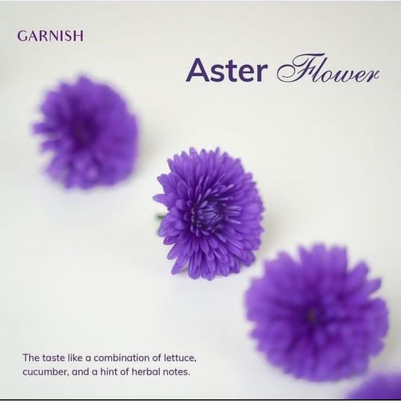 

Aster