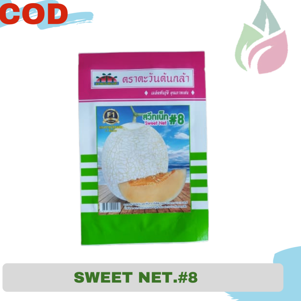 Benih buah melon sweet net #8