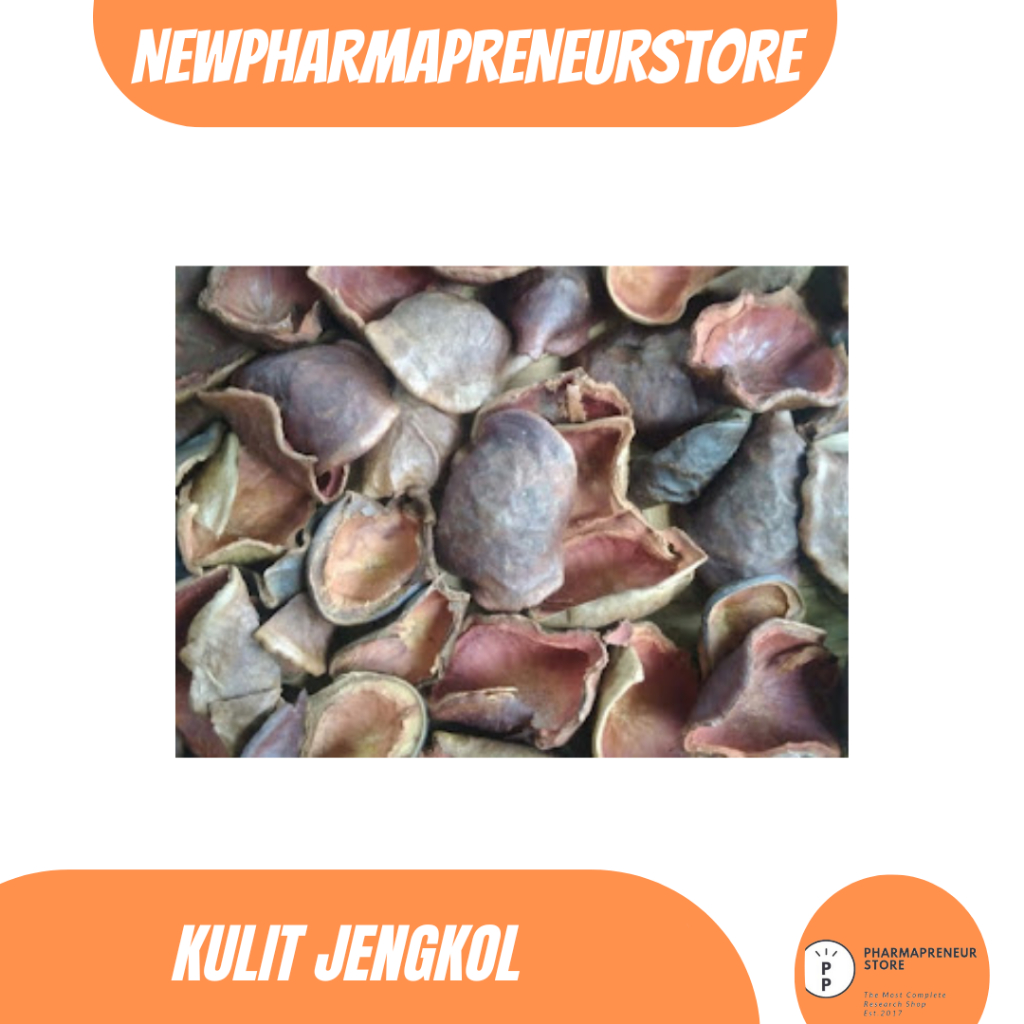

EKSTRAK KULIT JENGKOL BEST QUALITY