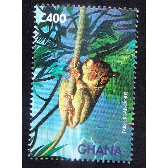 

A 11107 SATU BUAH PRANGKO TEMA SATWA TARSIUS BANCANUS DENGAN KONDISI MNH MINT NEVER HINGED