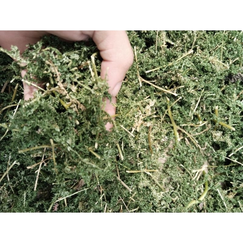 

daun cakar ayam kering 500gram