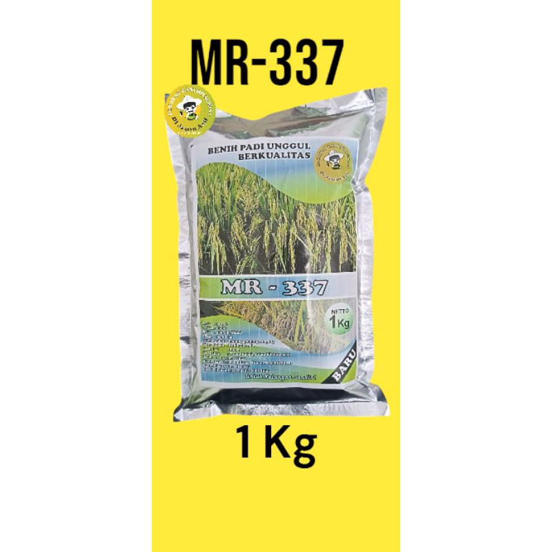 Benih padi MR337  Original