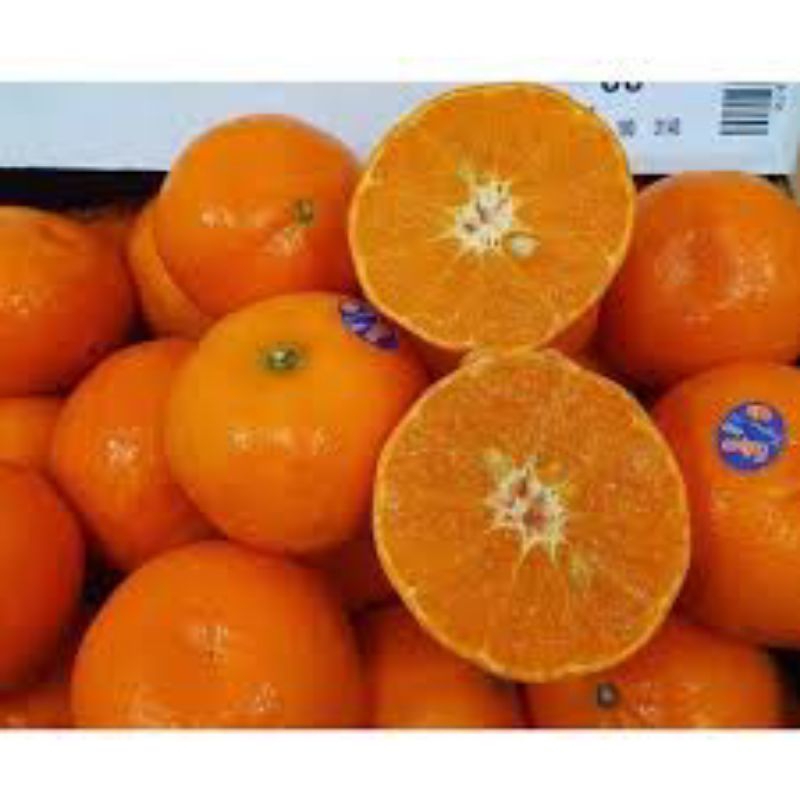 

Jeruk Honey murcot 500gr