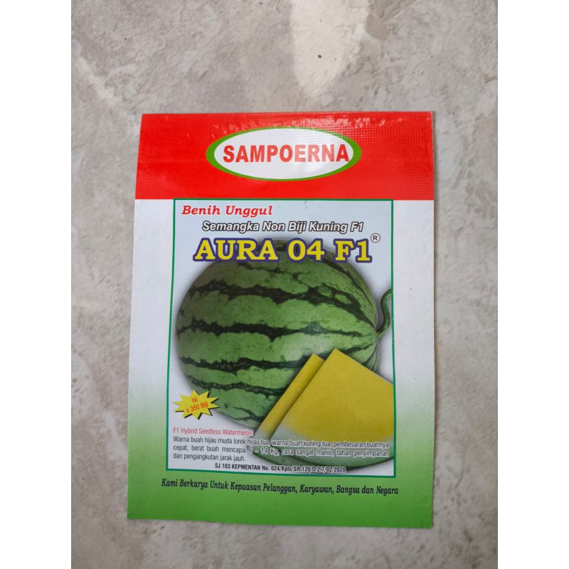 benih semangka kuning non biji AURA 04 F1