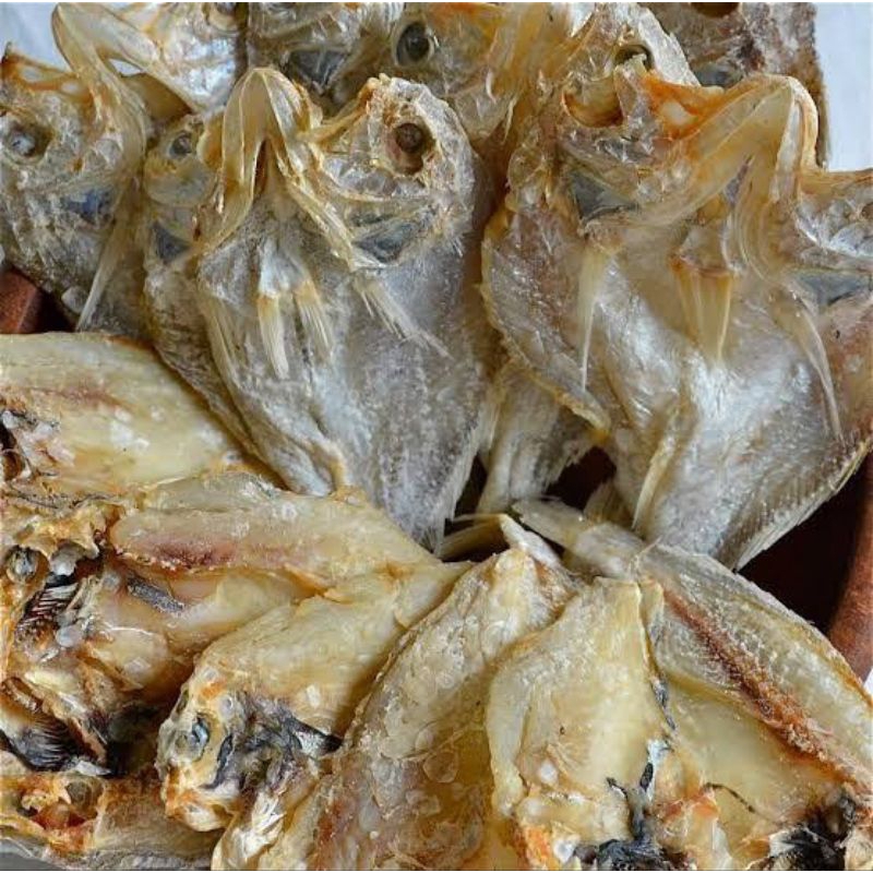 

ikan kering aneka macam jenis ikan