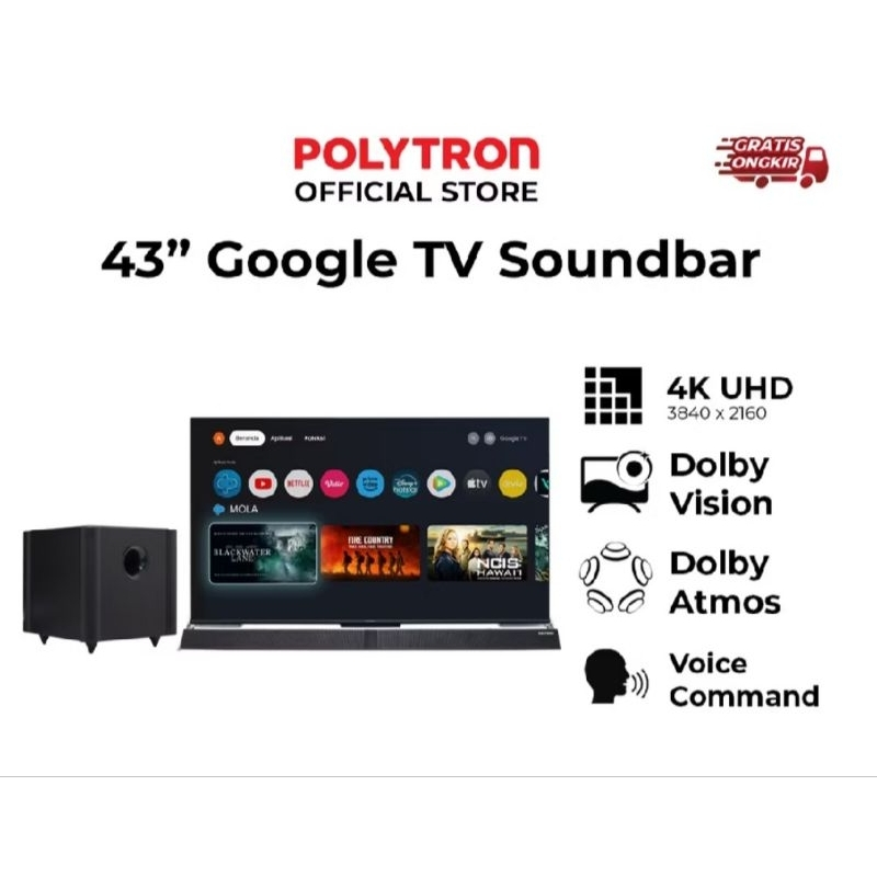 TV POLYTRON 43BG9058 43 INCHI