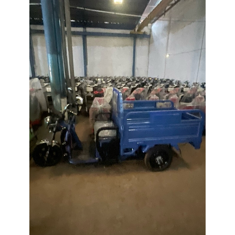 Motor Listrik Bak roda 3 mobil pickup pikap losbak QY ZPT battery batrai baterai electric charge sen