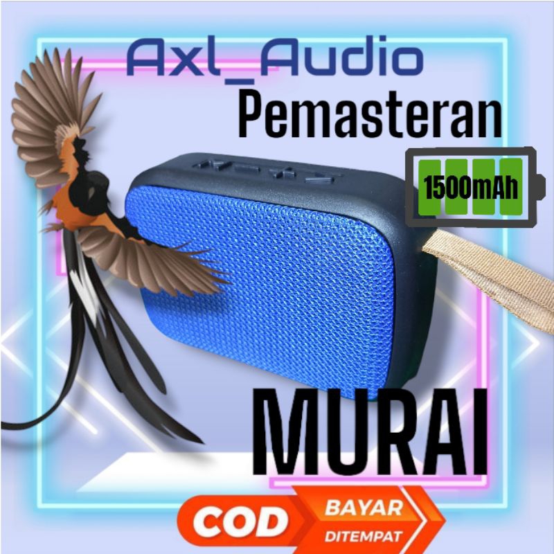 Masteran burung murai musik box mp3 murai