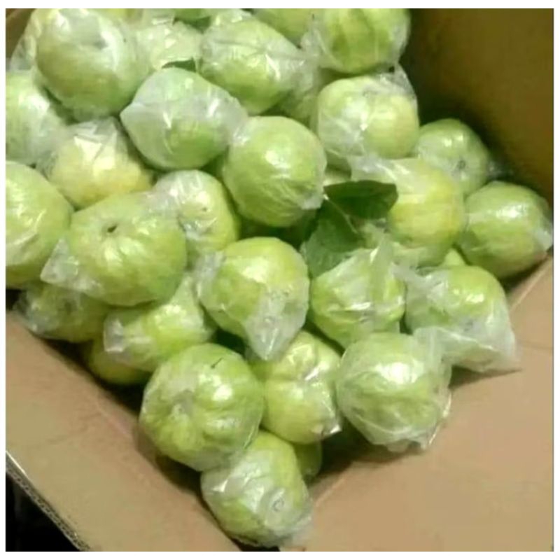 

delima / jambu 1kg