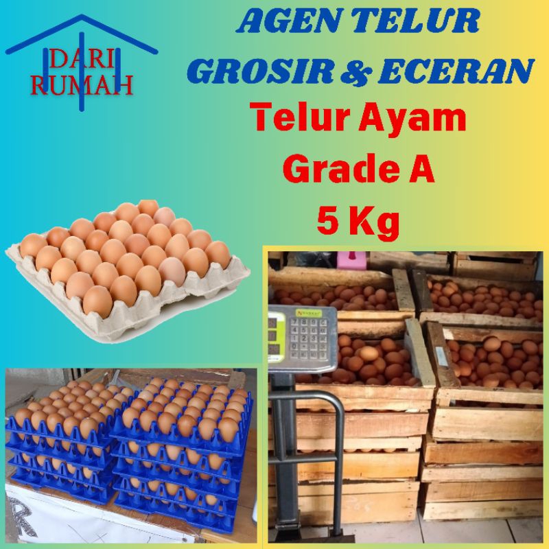 

TELUR AYAM NEGRI Grade A / Pilihan MURAH 5 KG