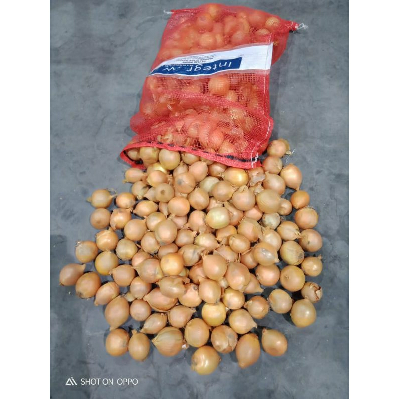 

bawang bombay fress termurah. bumbu rempah. penyedap masakan