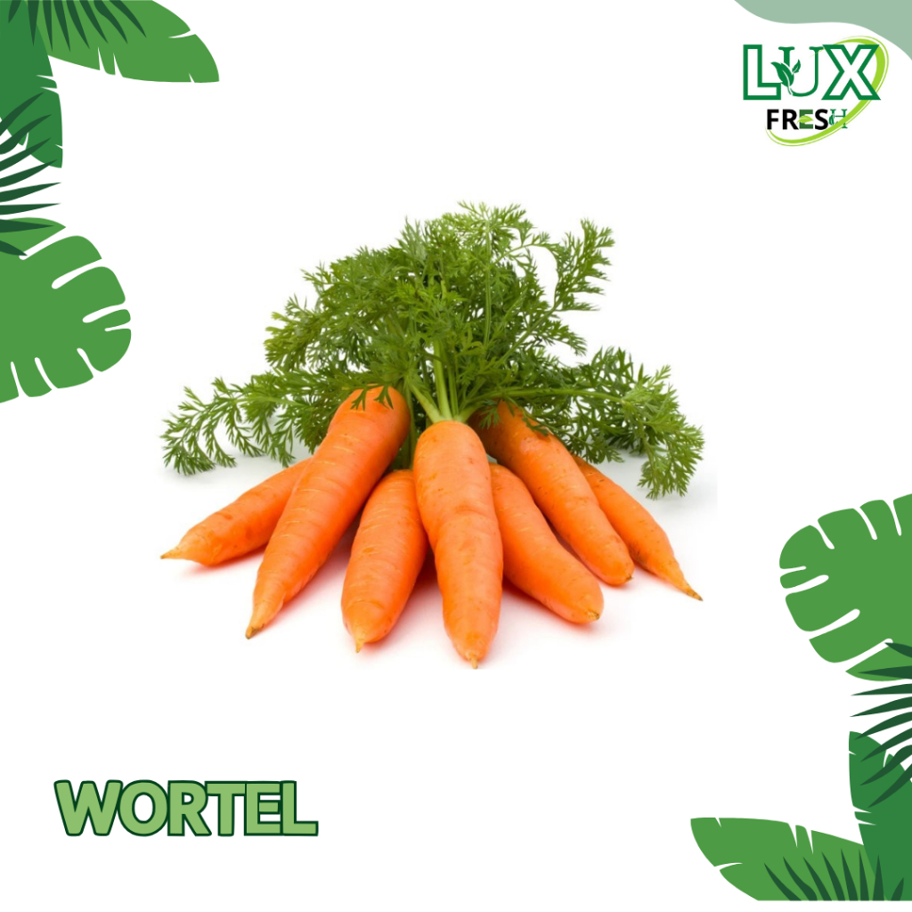 

WORTEL FRESH 500 GRAM DAN 1 KG BEST QUALITY