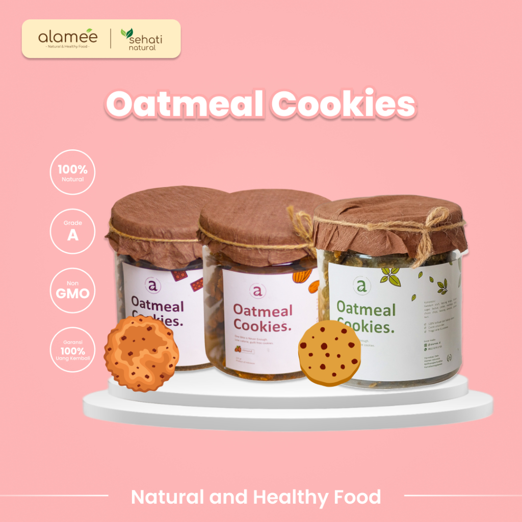 

Oatmeal Cookies Oat Snack Sehat Makanan Anak Balita Cemilan Sehat Cookie Kue Kering