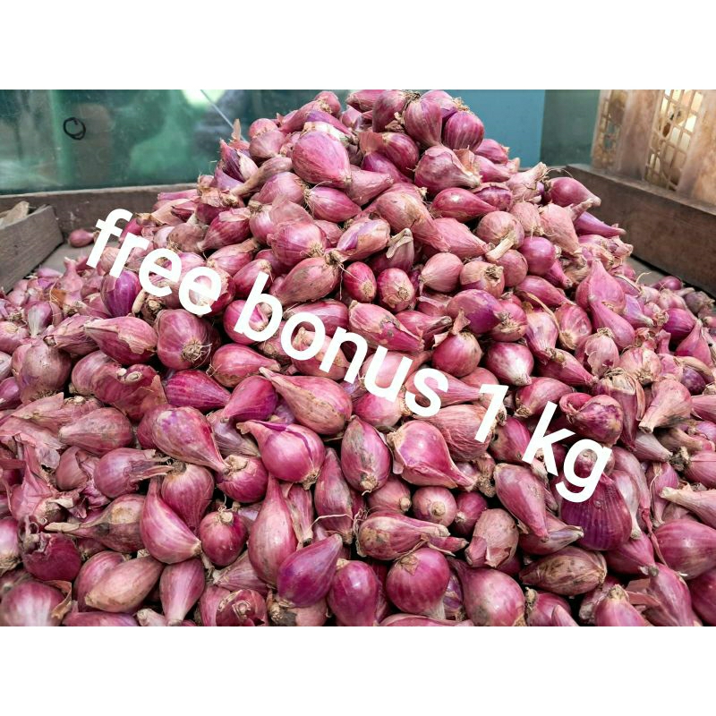 

bawang merah 500gr + gratis bonus