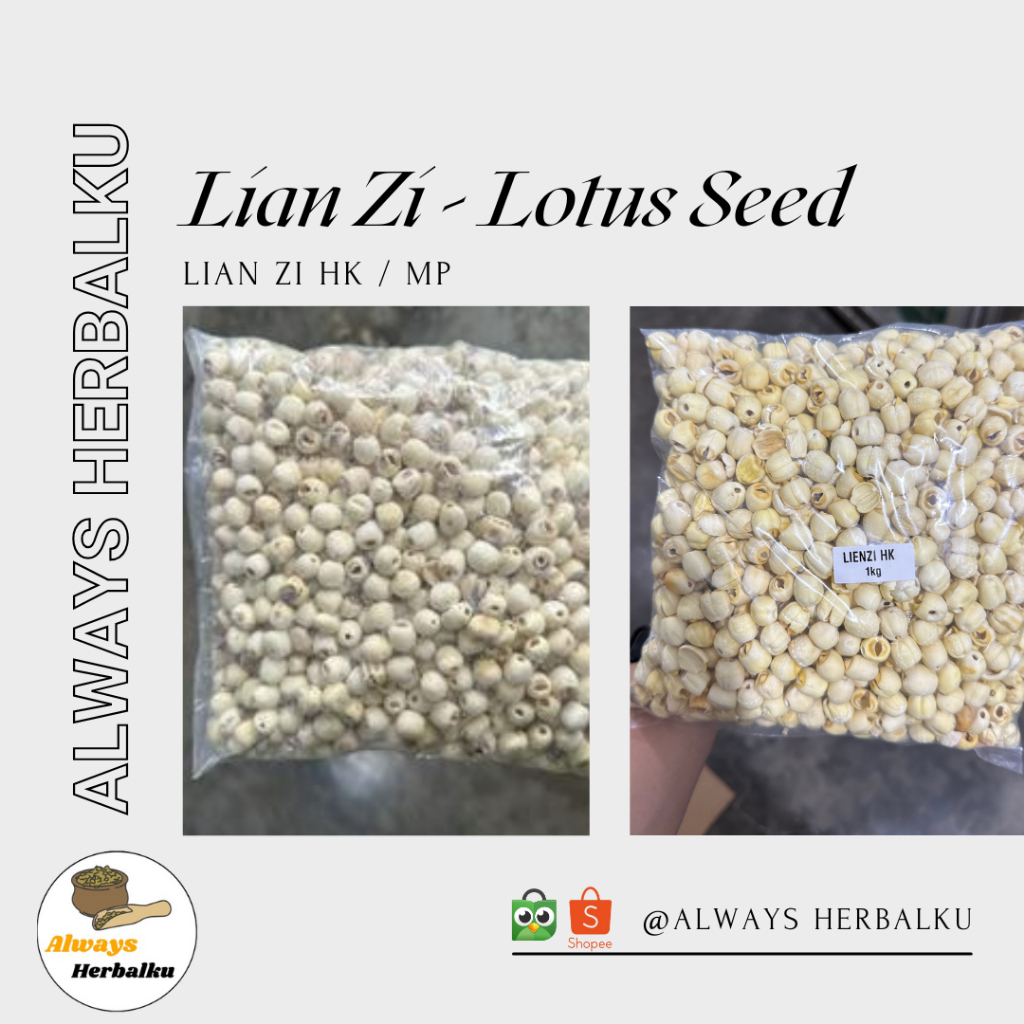 

Lian zi / Biji bunga teratai / Lotus seed / Lian zi HK / Lian zi MP (250 gram)