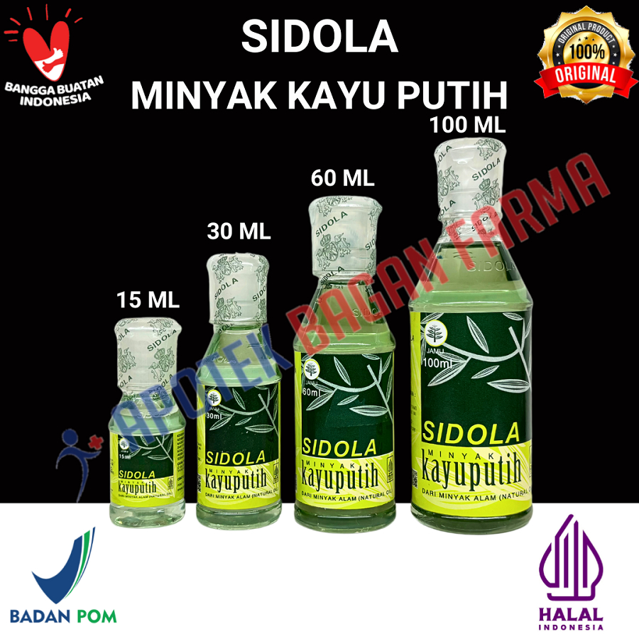 SIDOLA MINYAK KAYU PUTIH