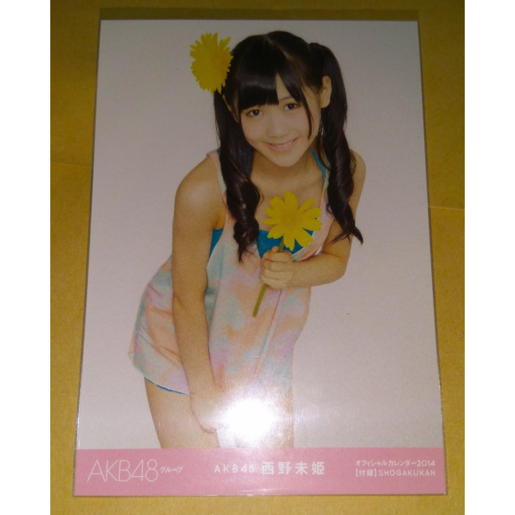 Photopack Nishino Miki AKB48 Group Official Calendar 2014