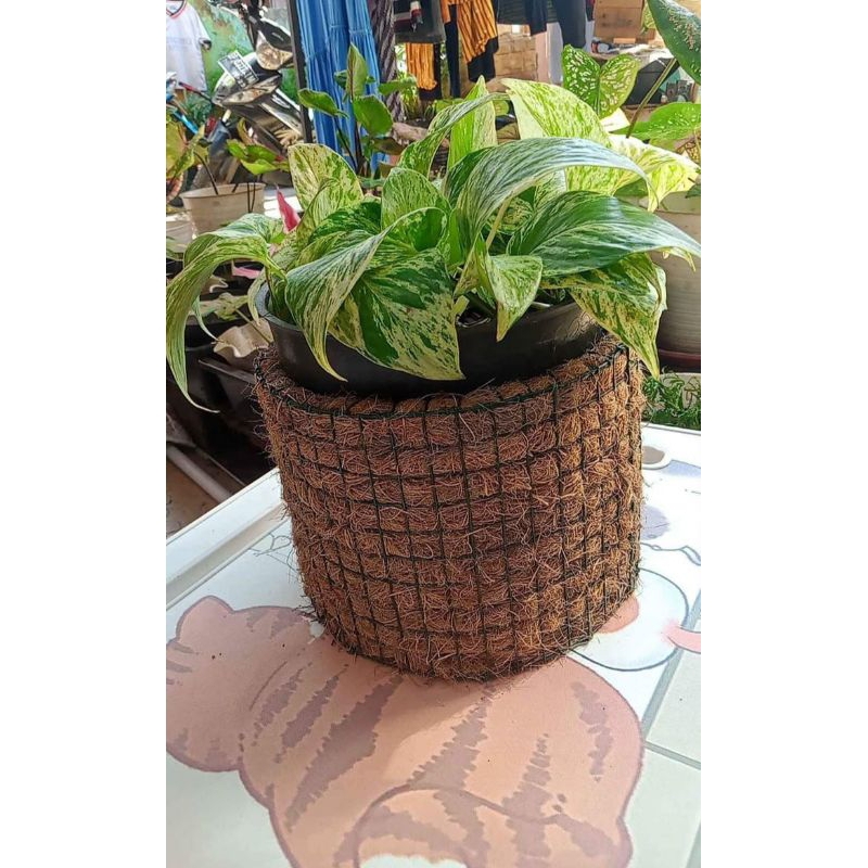 khusus Batam pot cover set bunga