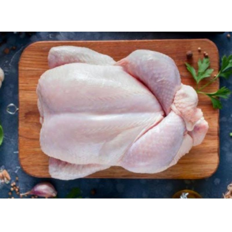 

AYAM BOILER FRESH FRIZER