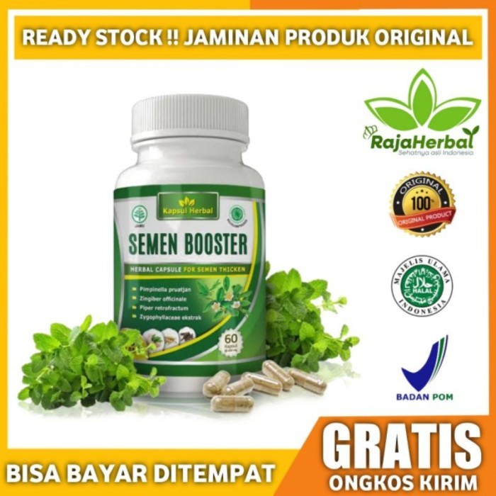 Obat Air Mani Sperma Encer Pengental Sperma Oligospermia Varikokel Ozoospermia Teratozoospermia