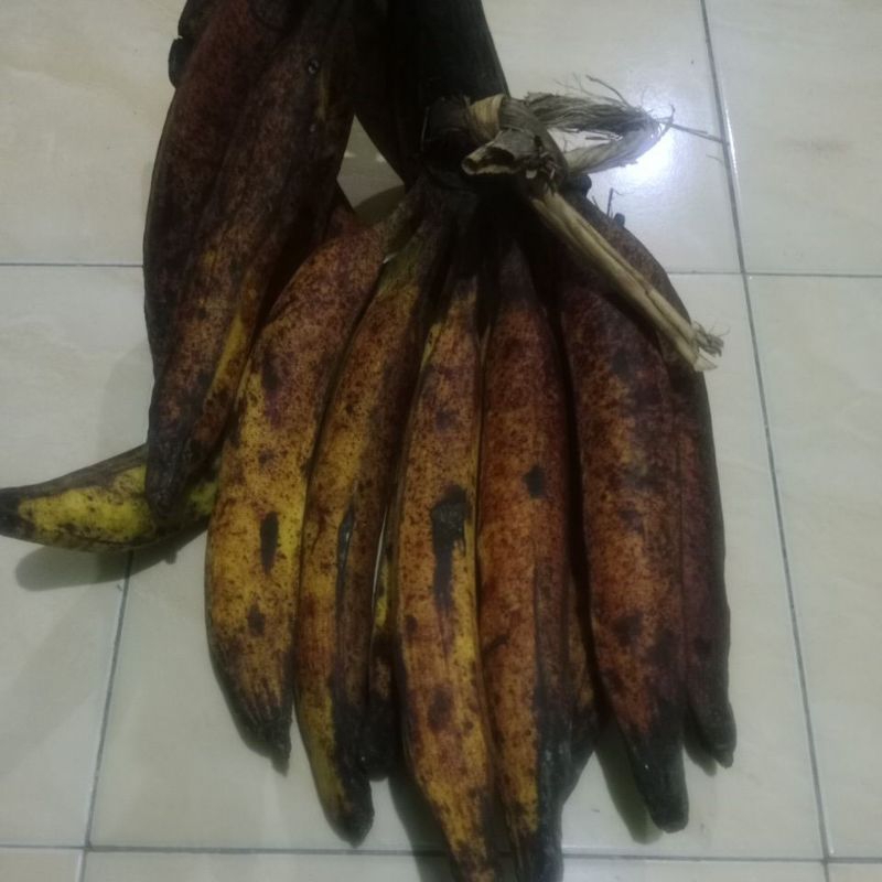 

PISANG TANDUK MADU / BAGJA / GALEK SUPER per 1kg (di kirim random)