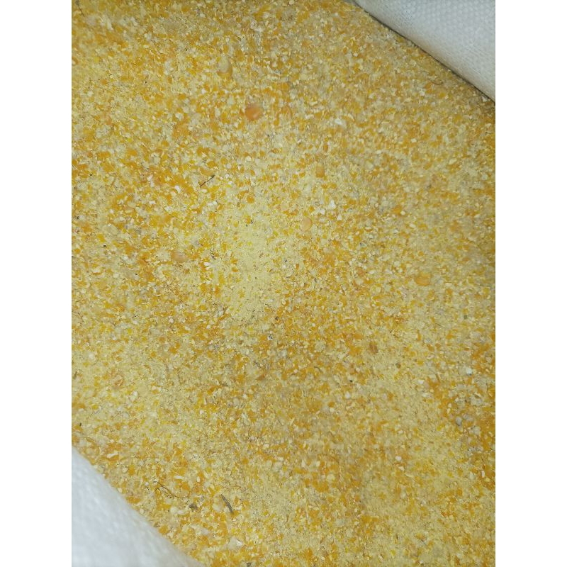 

jagung giling halus 1kg