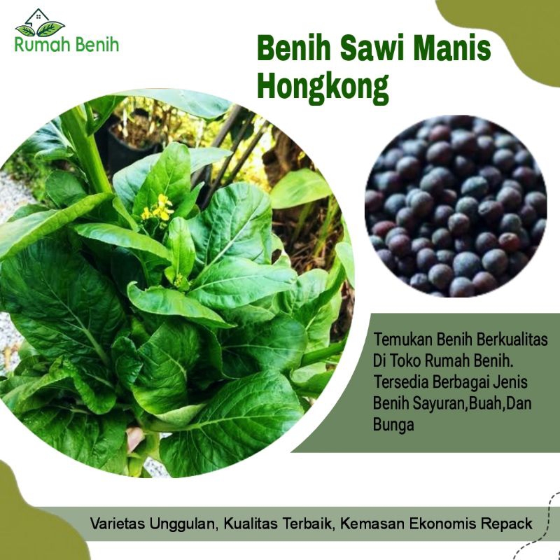 Benih Sawi Manis Hongkong Import / Bibit Sayuran / Benih Sayuran / Benih Sawi Manis / Bibit Sawi Man