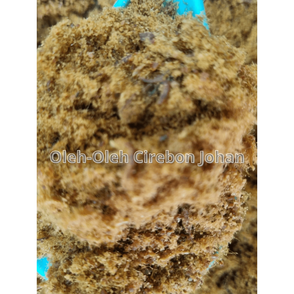 

Abon Sapi 22 - Abon Sapi Lezat - Abon Sapi Lembut - Abon Sapi 250g