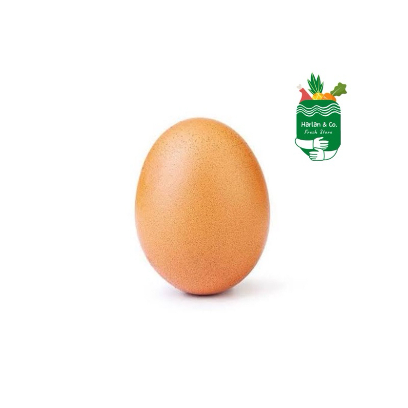 

telur ayam satuan (telur surabaya)