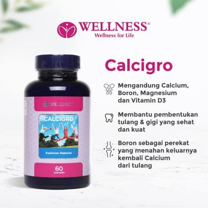 Wellness Calcigro isi 60 kapsul