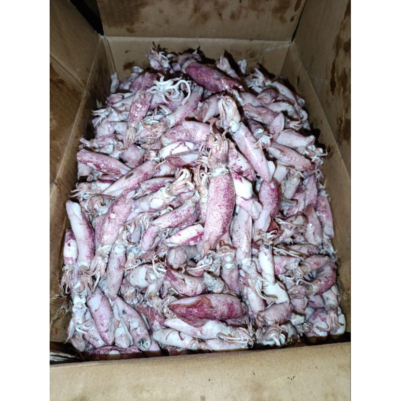 

ETALASE KHUSUS 1 KG