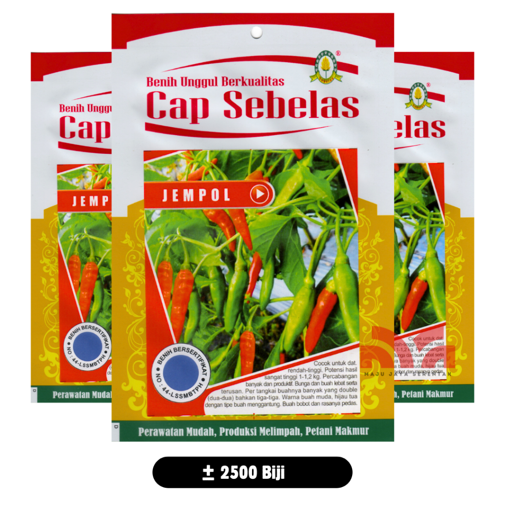 Cabe Rawit Hijau Merunduk Jempol Tahan Virus